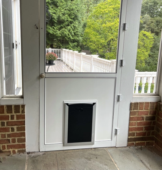 Pet Door Installation project main photo.