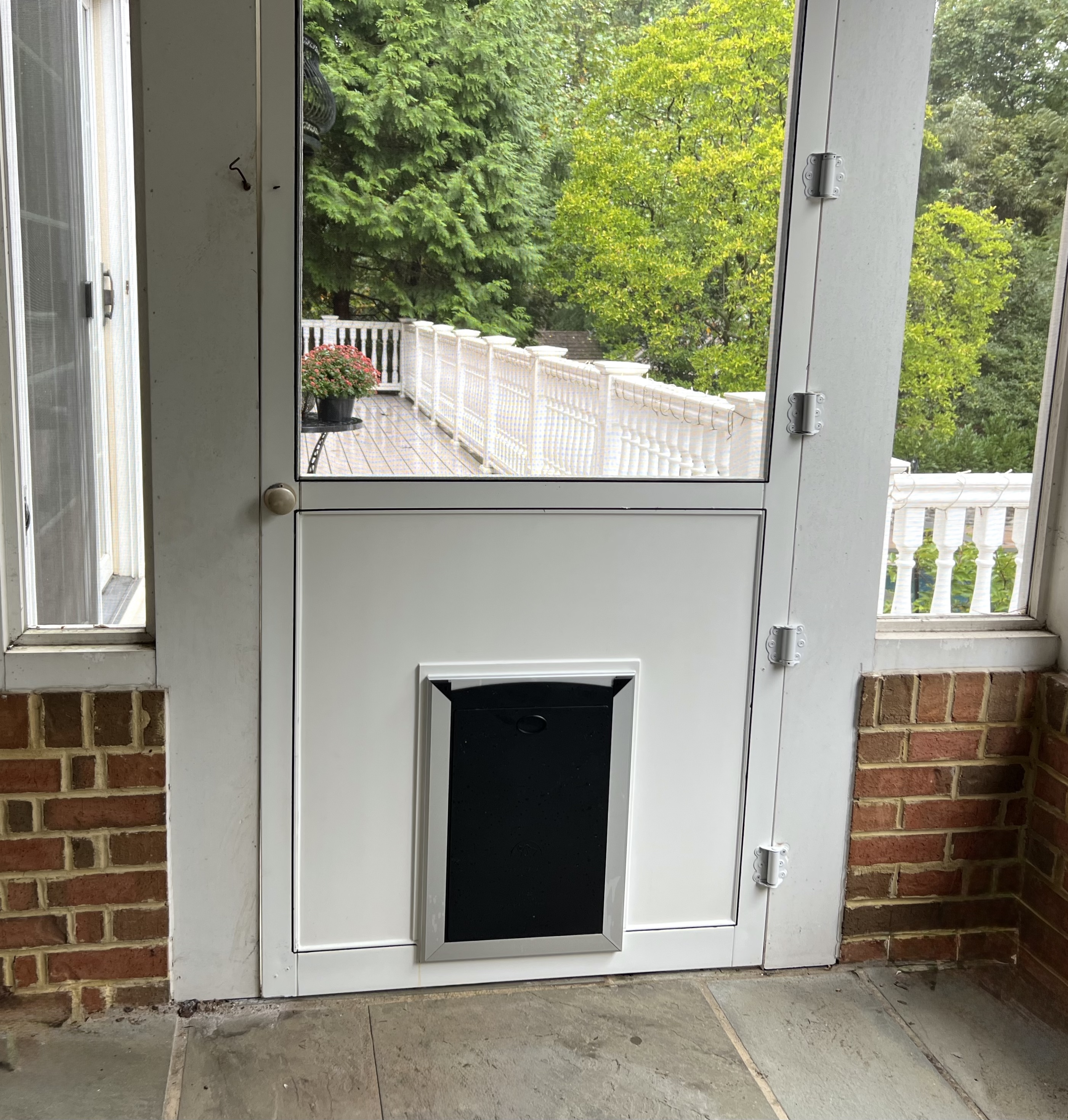 Pet Door Installation project main photo.