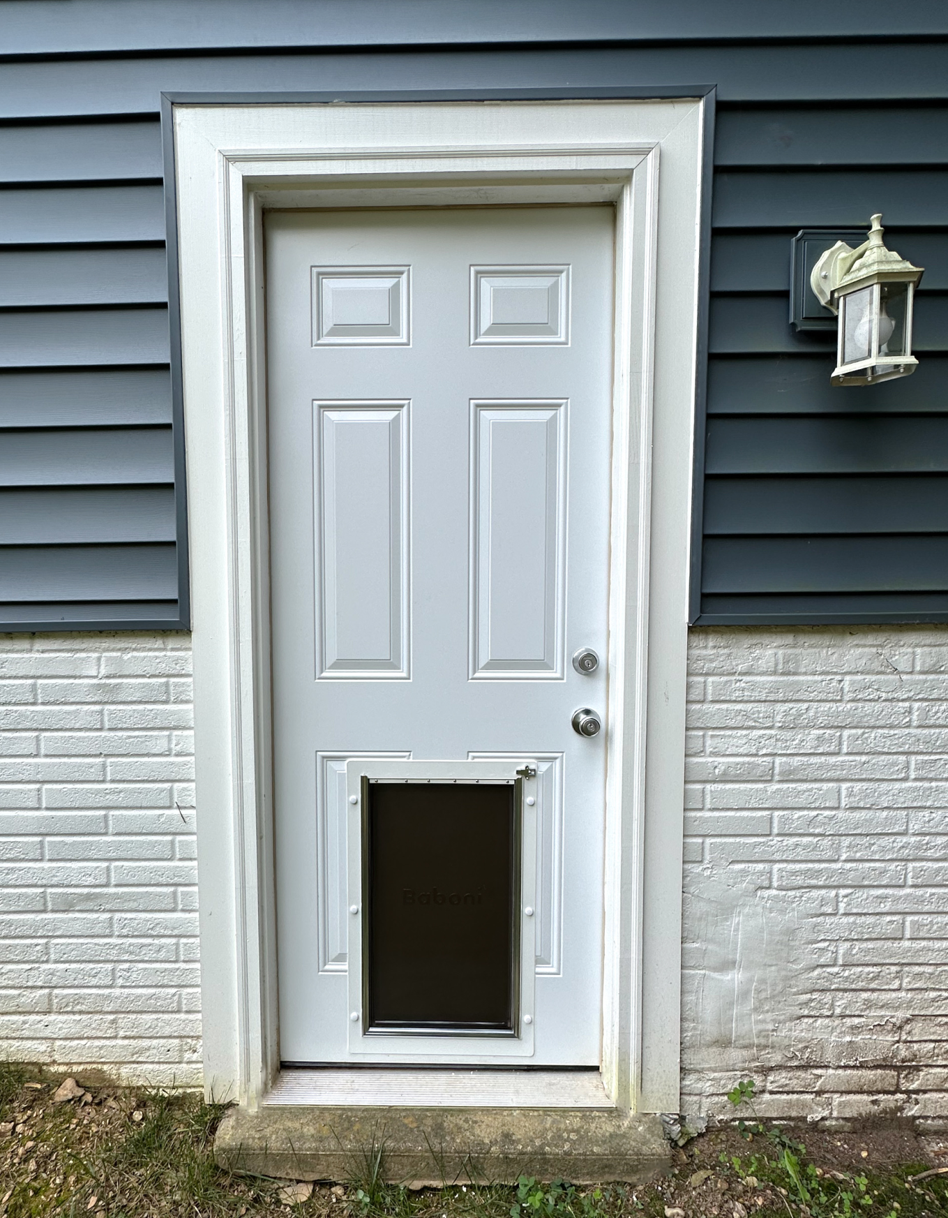 Pet Door Installation project main photo.