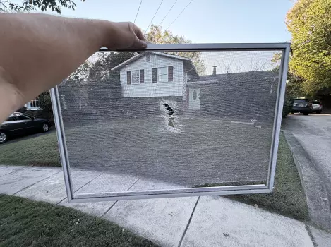 Window Screen Replacement project photo.